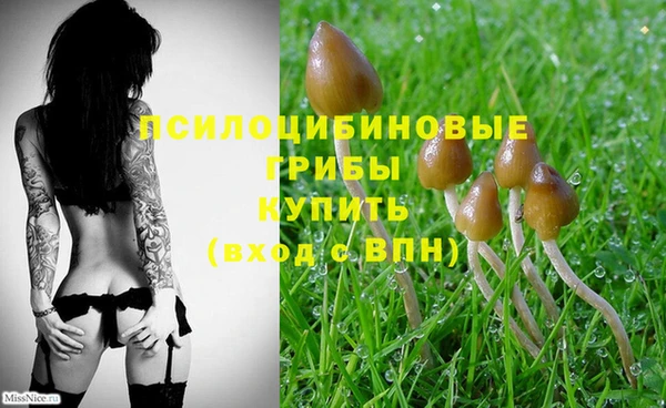 шишки Алзамай
