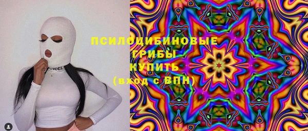 ешки Алексин