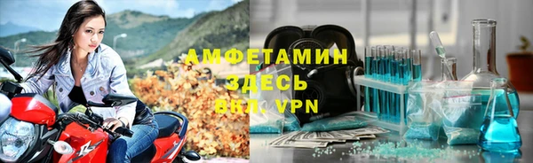 ешки Алексин