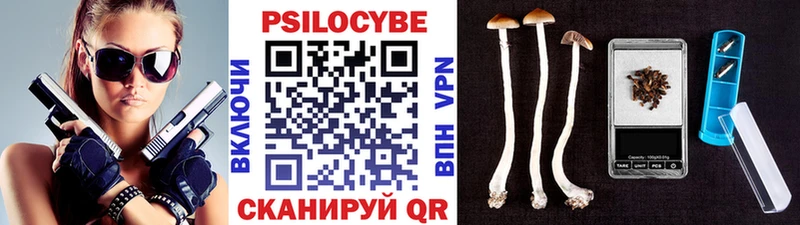 Псилоцибиновые грибы Magic Shrooms  Аша 